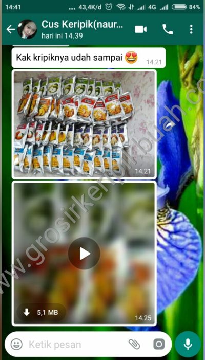Agen keripik buah palembang