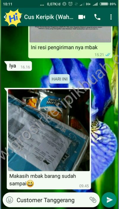 grosir keripik buah malang t1 grosir keripik buah malang t1