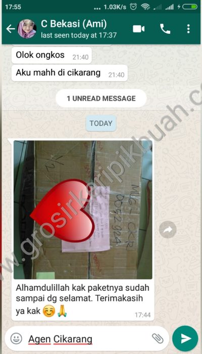 grosir keripik buah malang t5 grosir keripik buah malang t5