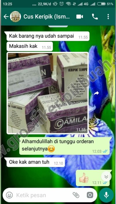 grosir keripik buah malang t6 grosir keripik buah malang t6